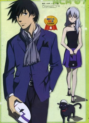 Darker Than Black: Gemini of the Meteor OVAs