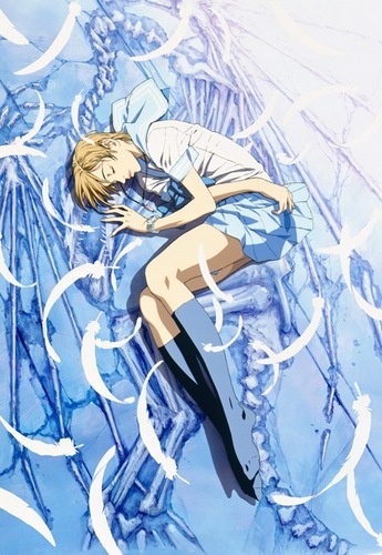 Escaflowne: A Girl in Gaea
