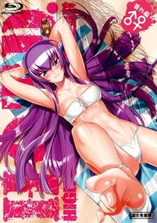 Highschool Of The Dead Ova