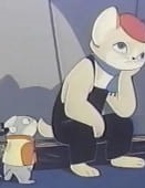 Kitty's Studio