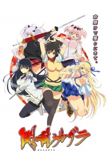 Senran Kagura: Ninja Flash